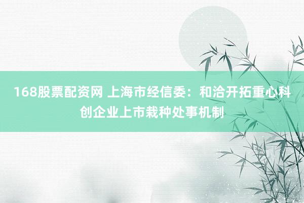 168股票配资网 上海市经信委：和洽开拓重心科创企业上市栽种处事机制