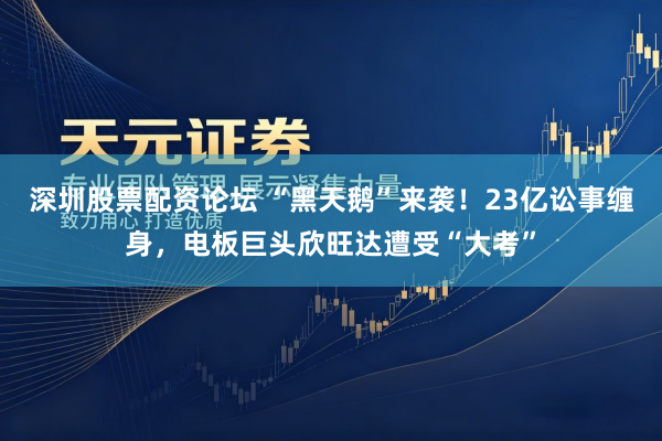 深圳股票配资论坛 “黑天鹅”来袭！23亿讼事缠身，电板巨头欣旺达遭受“大考”