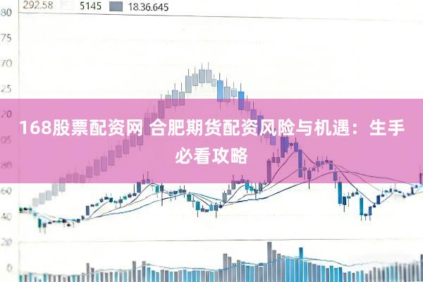 168股票配资网 合肥期货配资风险与机遇：生手必看攻略